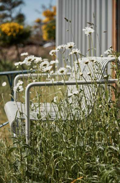 Rent, råt og ganske enkelt WAUV!, Æblerosevej 1, 4583 Sjællands Odde